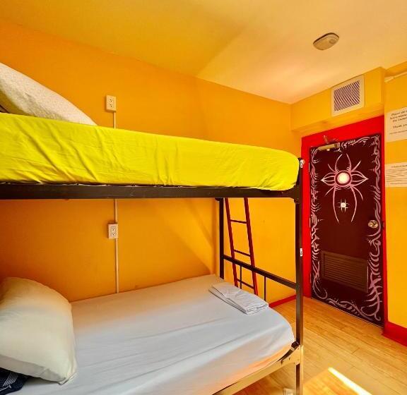 Bed in Shared Room with Shared Bathroom, The Only Backpacker S Inn