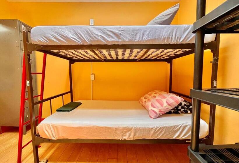 Bed in Shared Room with Shared Bathroom, The Only Backpacker S Inn