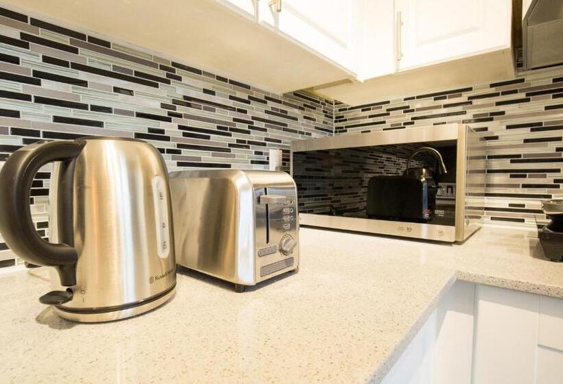 اتاق سوپریور, The Only Backpacker S Inn