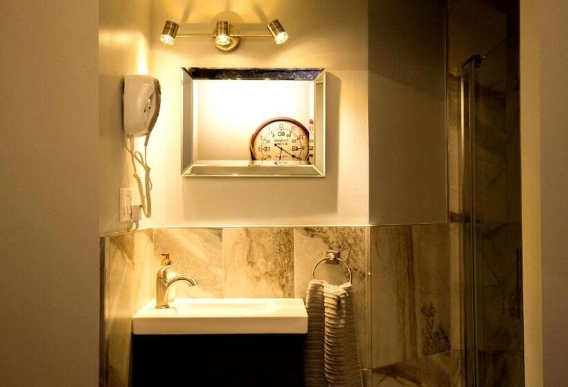 اتاق سوپریور, The Only Backpacker S Inn