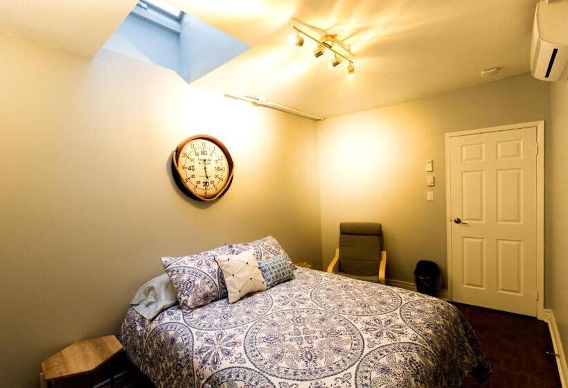 اتاق سوپریور, The Only Backpacker S Inn