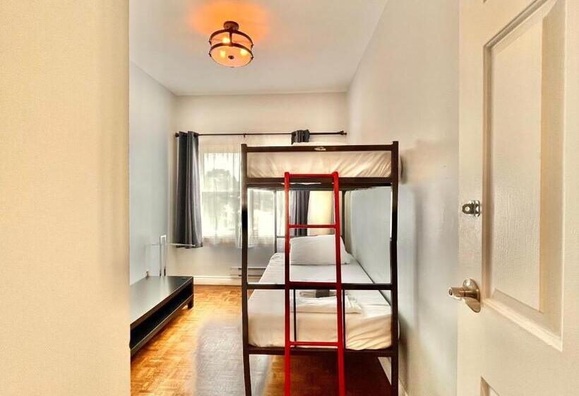 اتاق لوکس, The Only Backpacker S Inn