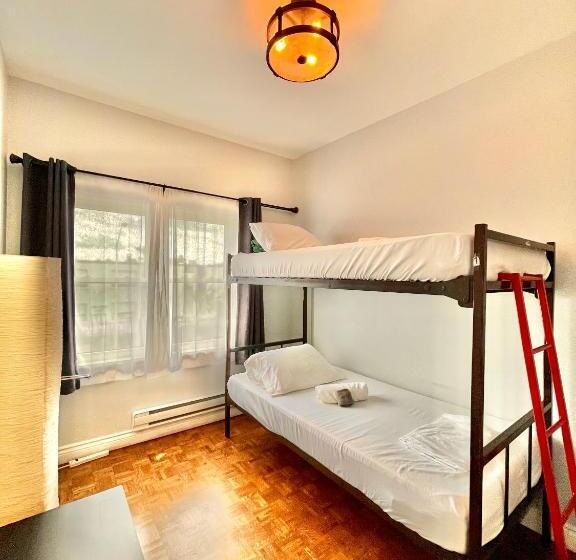 اتاق لوکس, The Only Backpacker S Inn