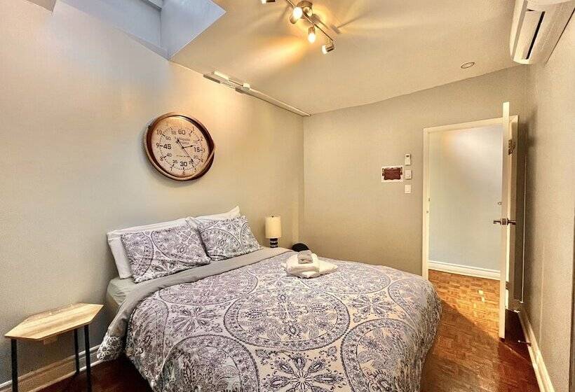 اتاق سوپریور, The Only Backpacker S Inn