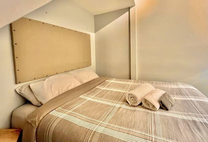 اتاق سوپریور, The Only Backpacker S Inn