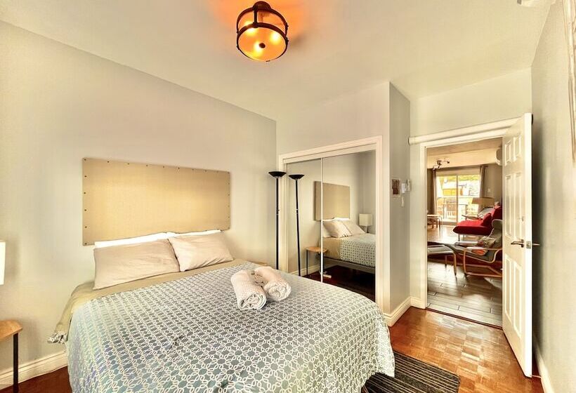 اتاق لوکس, The Only Backpacker S Inn