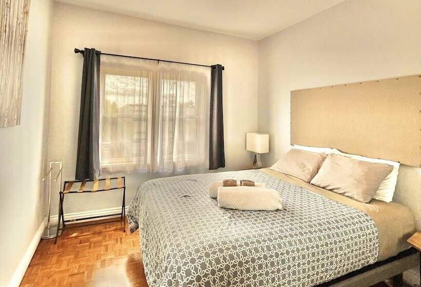 اتاق لوکس, The Only Backpacker S Inn