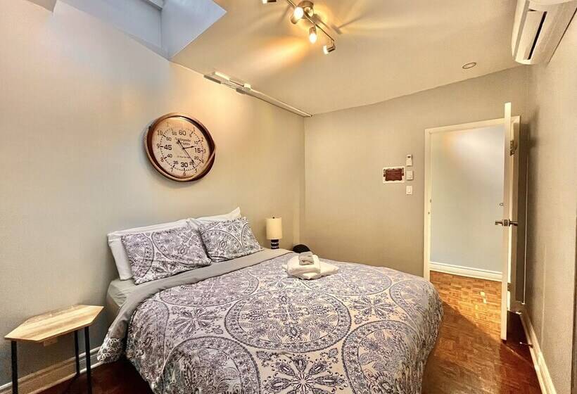 اتاق سوپریور, The Only Backpacker S Inn