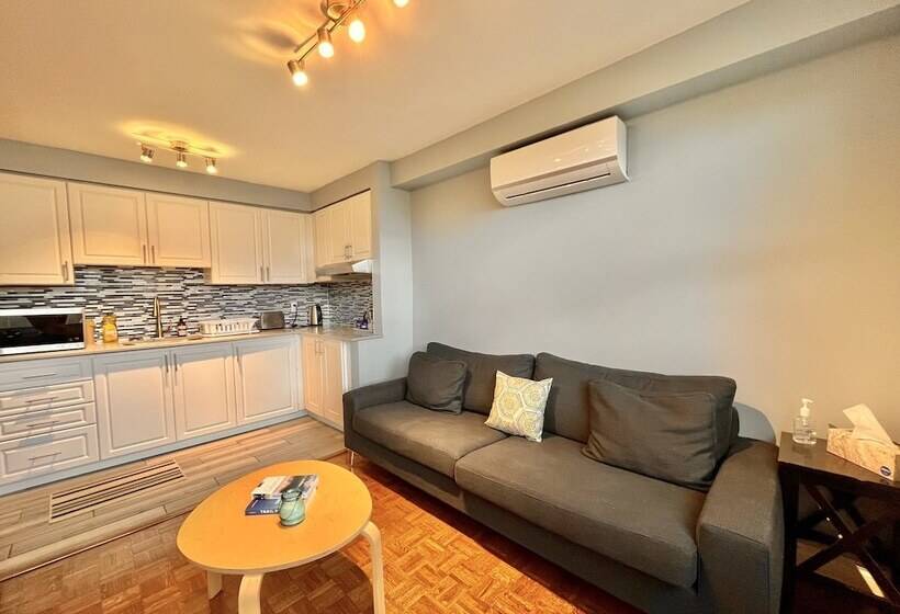 اتاق سوپریور, The Only Backpacker S Inn