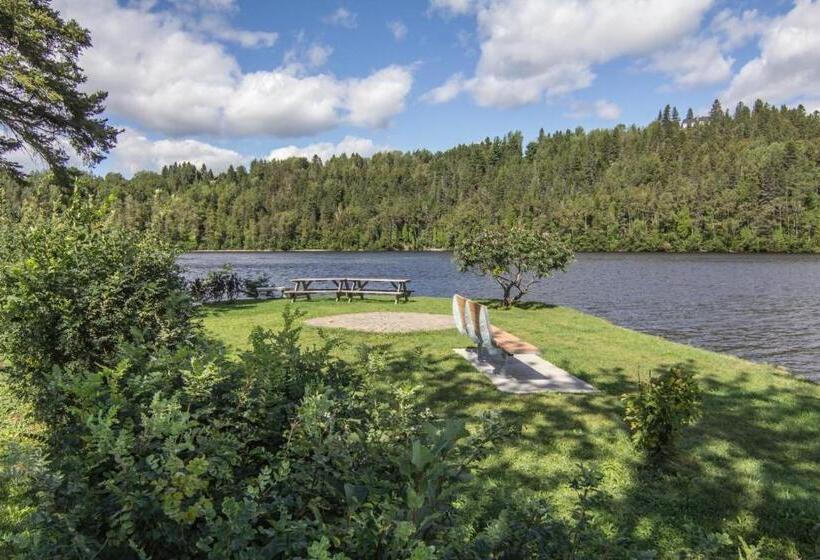 标准间, La Maison Du Matelot