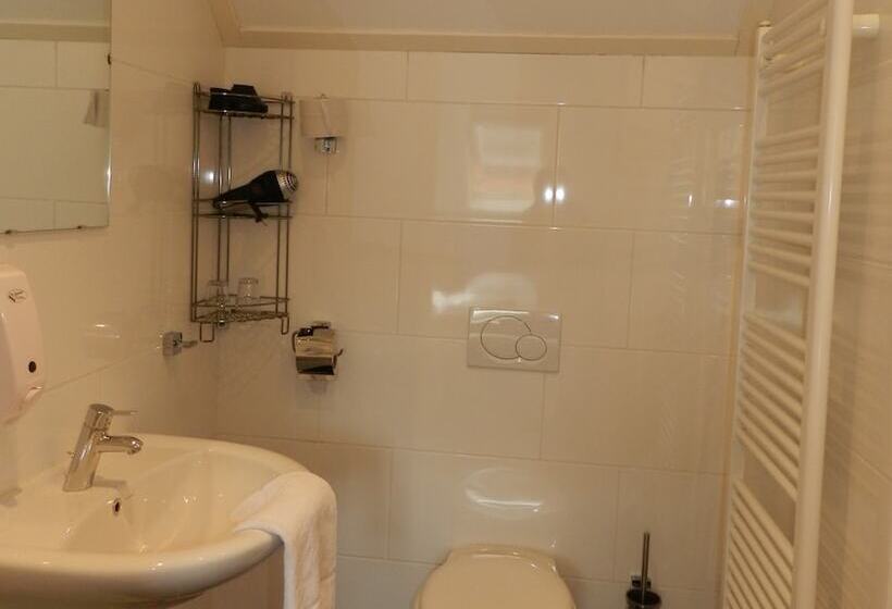 اتاق عادی, Boutique Hotel Nieuw Beusink