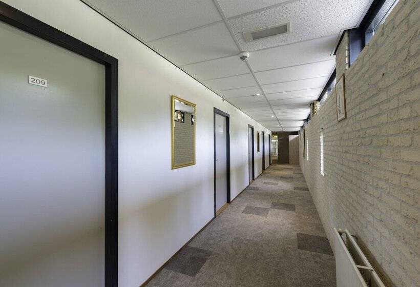 Pokój Standard, Appelscha