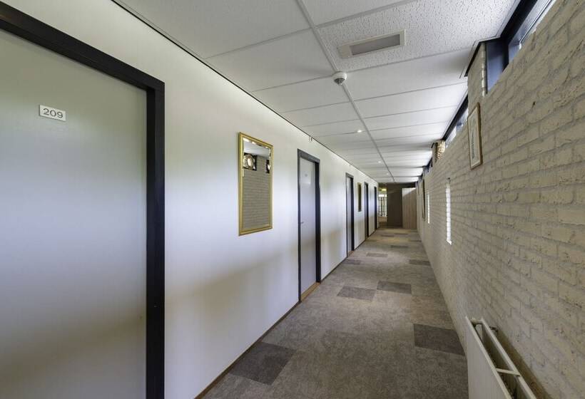 Pokój Standard, Appelscha