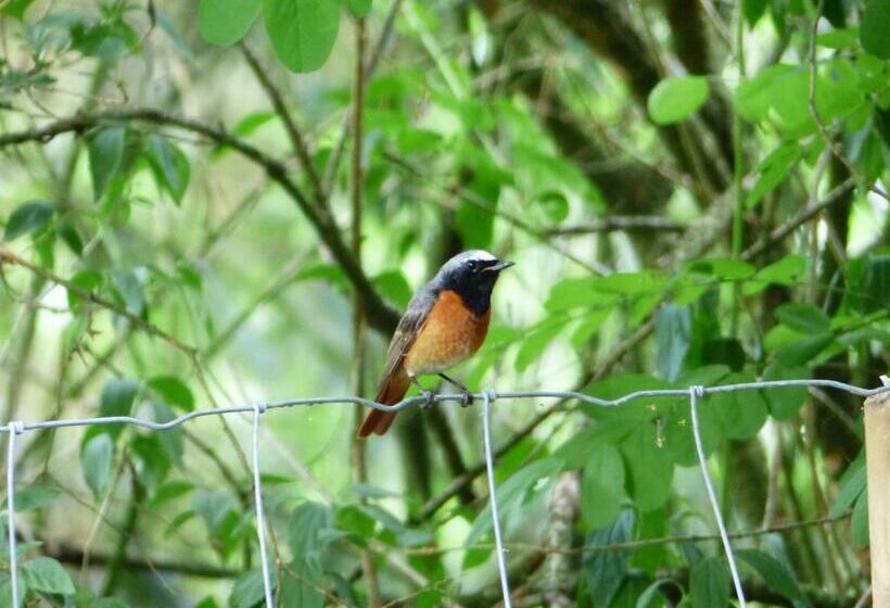 Шале 1 Спальня, Herberg De Eexter Os