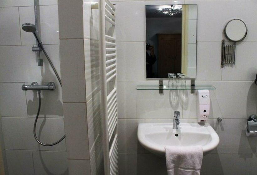 اتاق عادی, Boutique Hotel Nieuw Beusink