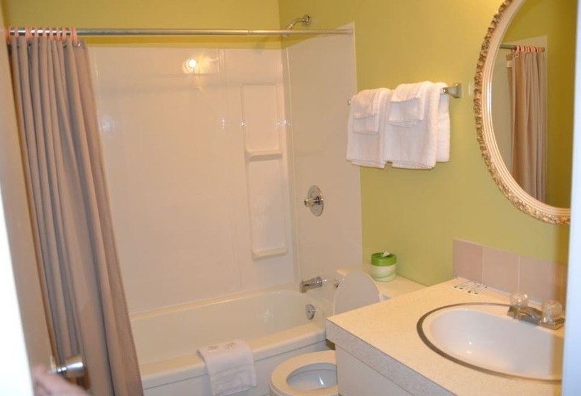 Номер Стандарт 2 Двуспальные Кровати, Coachman Inn