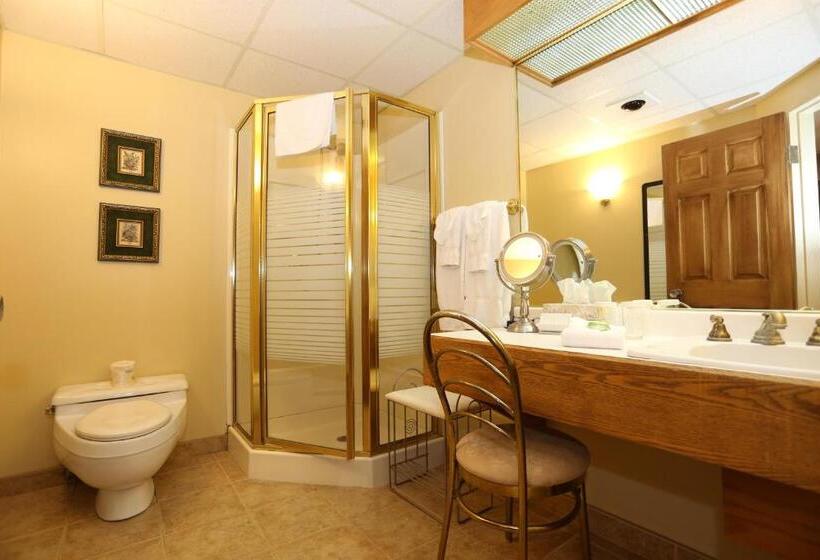 غرفة ديلوكس, Motel Grand Pré Inc