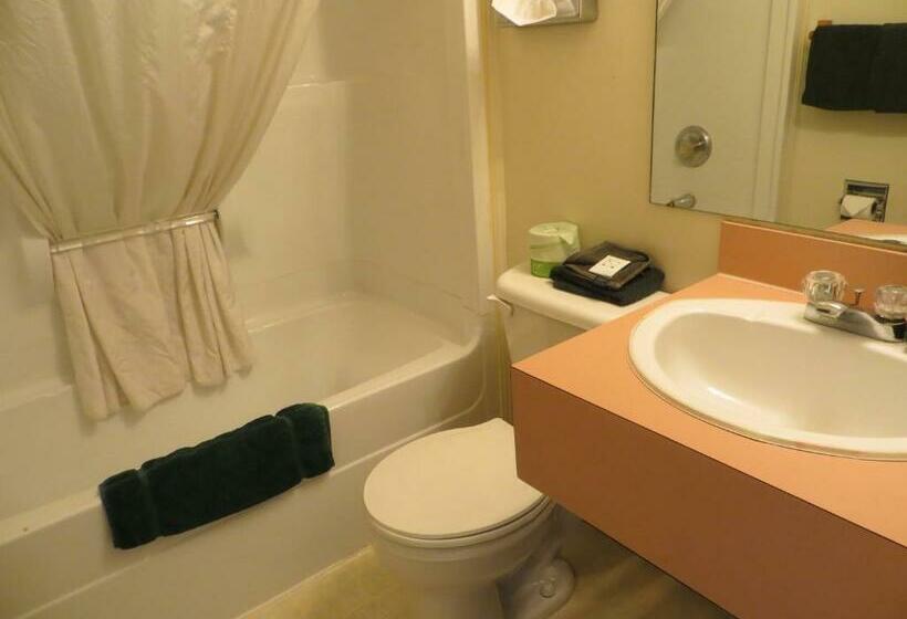 חדר סטנדרט, Tara Vista Inn