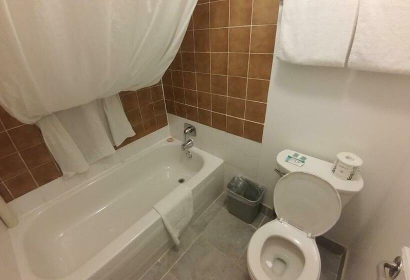 غرفه قياسيه سريرين مزدوجين, Northlander Motel