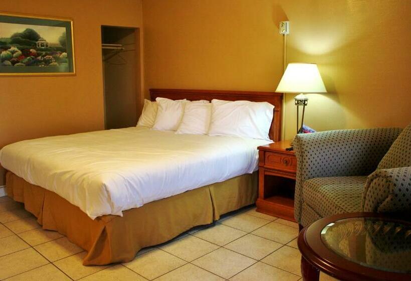 غرفة قياسية سرير كينج, Tulip Motel