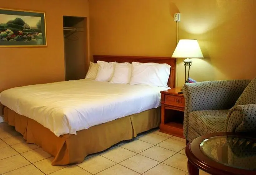 Standard-huone King-vuode, Tulip Motel