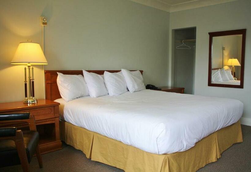 غرفة قياسية سرير كينج, Tulip Motel