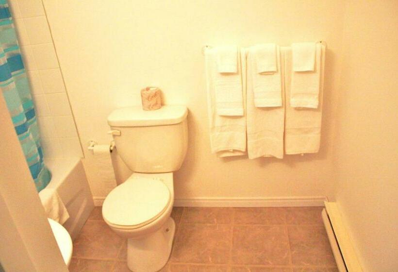 غرفة قياسية سرير كينج, Tulip Motel