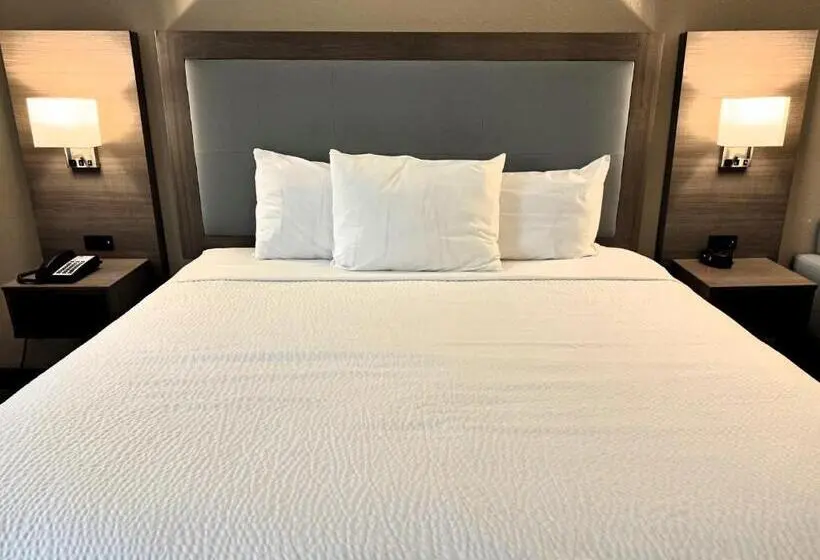 اتاق استاندارد با تخت بزرگ برای معلولان, Baymont By Wyndham Corpus Christi Airport