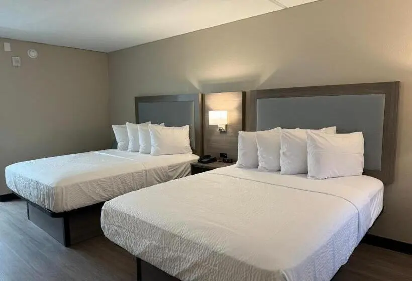 اتاق استاندارد برای معلولان, Baymont By Wyndham Corpus Christi Airport