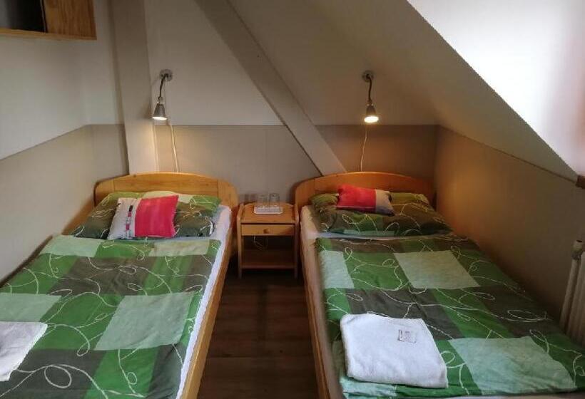 Номер Стандарт, Kormoran