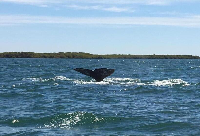 סטודיו דלוקס, Corbett Guest Suites