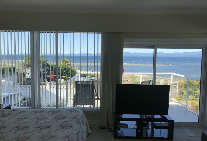 高级套房, Buena Vista By The Sea