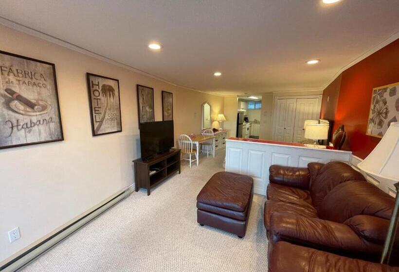 高级套房带海景, Buena Vista By The Sea