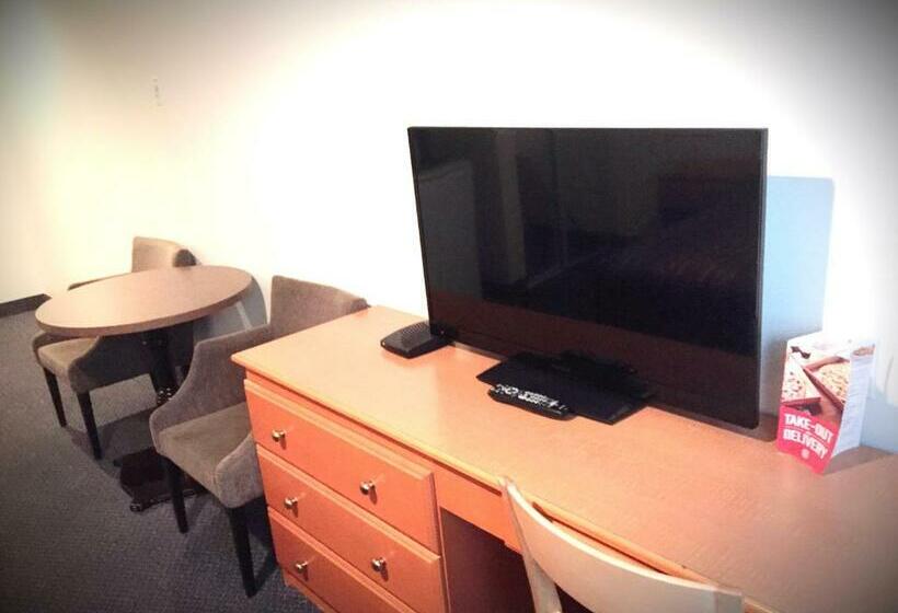 غرفة قياسية فردية, Ace Inn