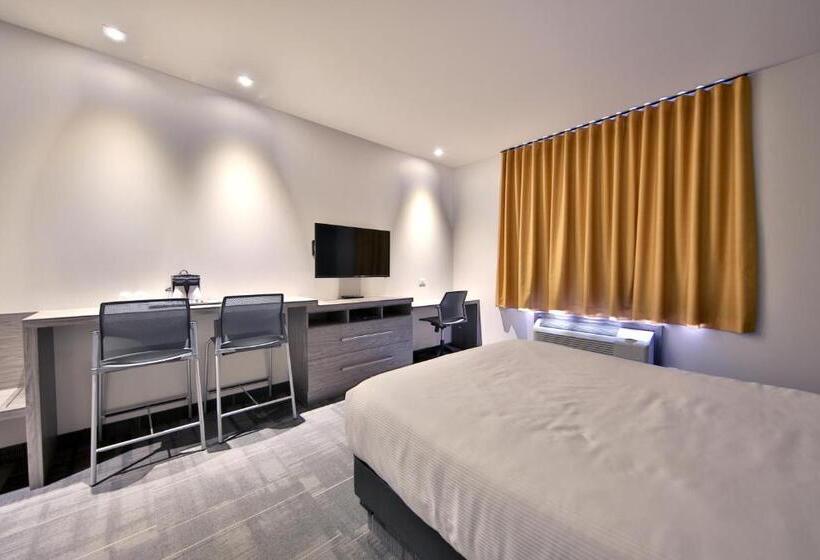 高级套房, O Laval