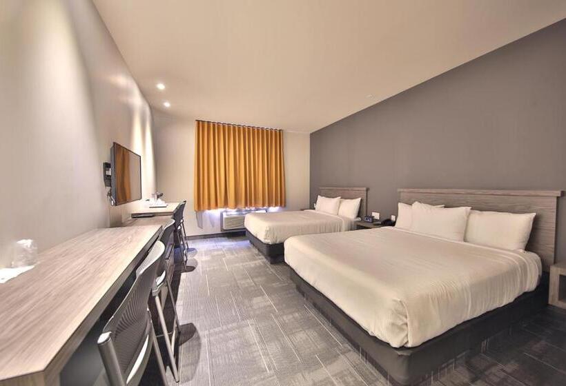 高级套房, O Laval