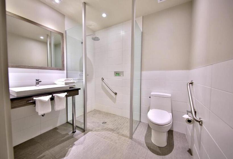 جناح لذوى الاحتياجات الخاصة, O Laval