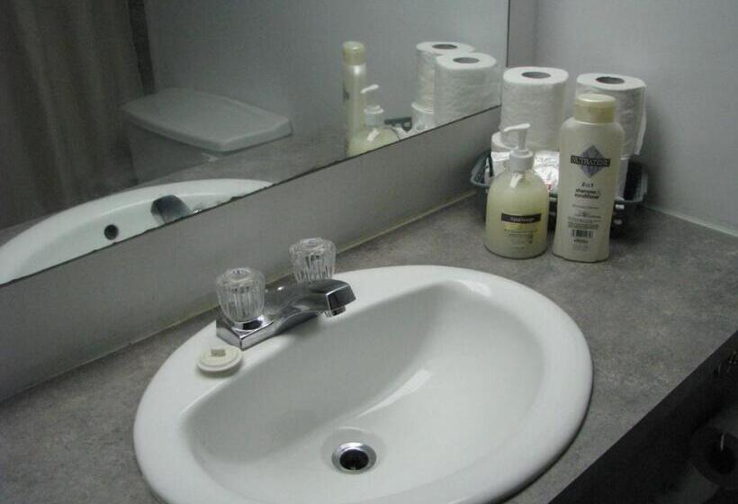 스탠다드 룸 더블 침대 2개, Motel Le Charentais