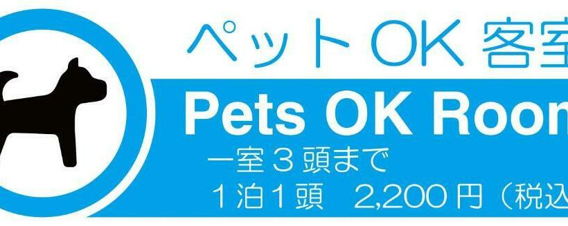 غرفة قياسية, Maruyama Onsen Kojyokan