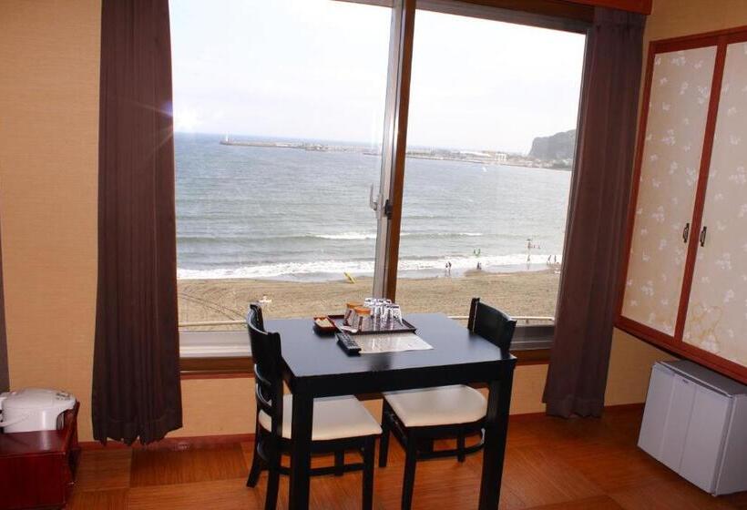 غرفة قياسية, Shiosai