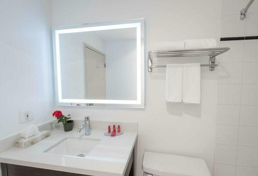 غرفة قياسية سرير كينج, Surestay Hotel By Best Western Castlegar