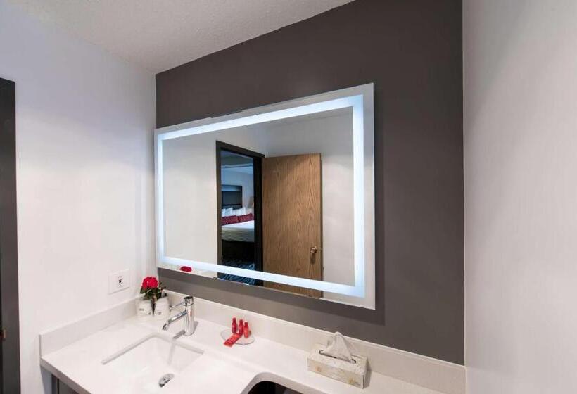 חדר סטנדרט עם מיטת קינג, Surestay Hotel By Best Western Castlegar