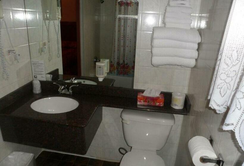 غرفة قياسية سرير كينج, The Silver Birch Motel