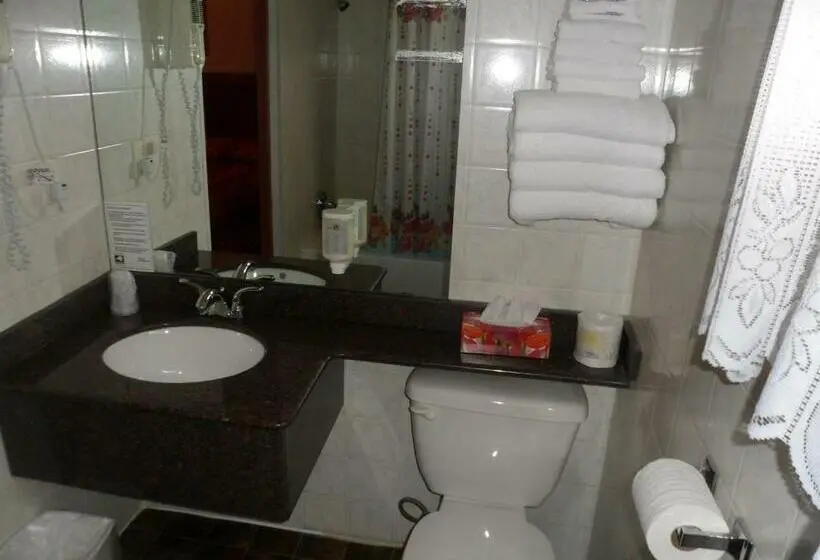 Standard Værelse King Size Seng, The Silver Birch Motel