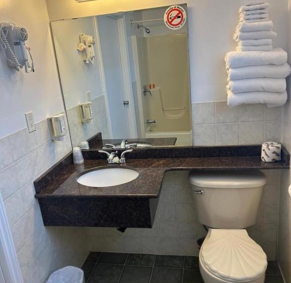 غرفة قياسية, The Silver Birch Motel