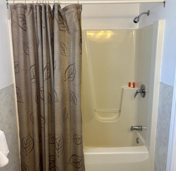 غرفة قياسية, The Silver Birch Motel