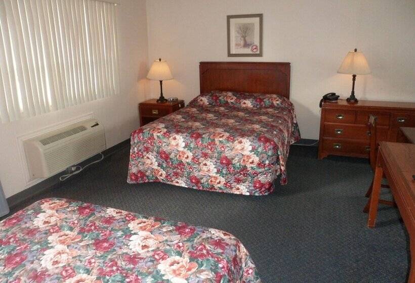 غرفة قياسية, The Silver Birch Motel