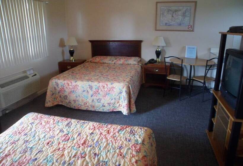 غرفة قياسية, The Silver Birch Motel