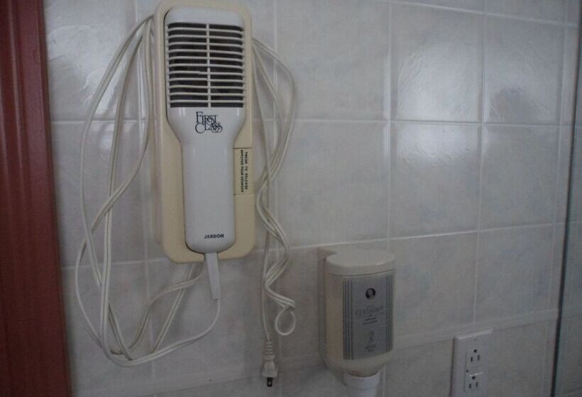 غرفة قياسية, The Silver Birch Motel