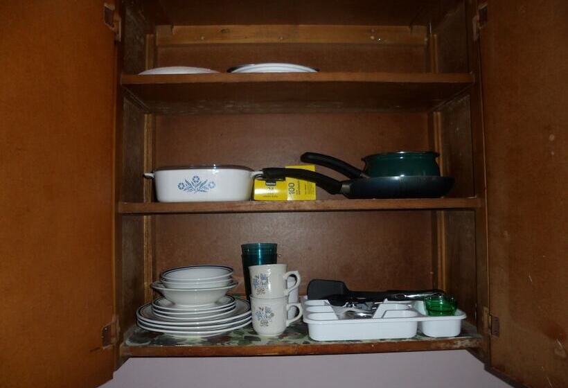 غرفة قياسية, The Silver Birch Motel